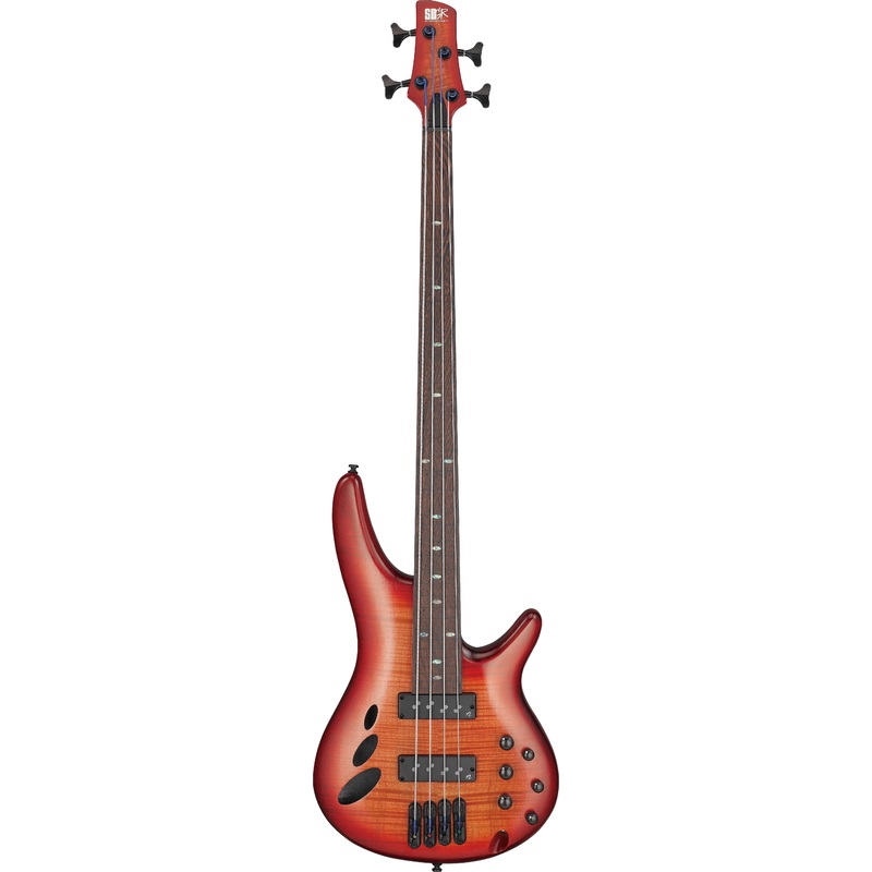 Ibanez SRD900FBTL SR Bass Workshop Fretless Electric Bass (Brown Topaz Burst Low Gloss)