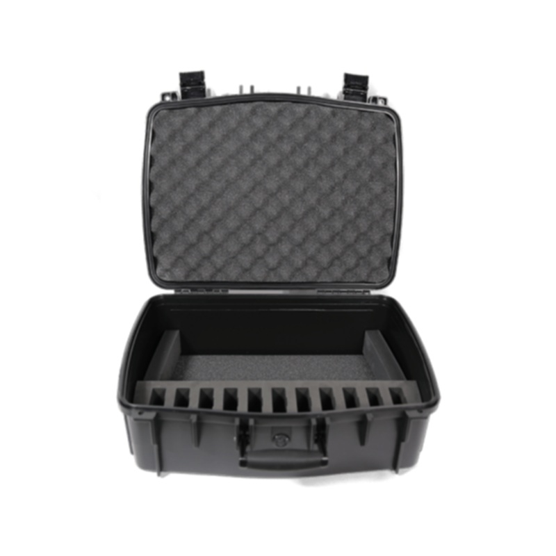 Williams AV CCS 056 DW 11 Carry Case for Digi-Wave (11 slots)