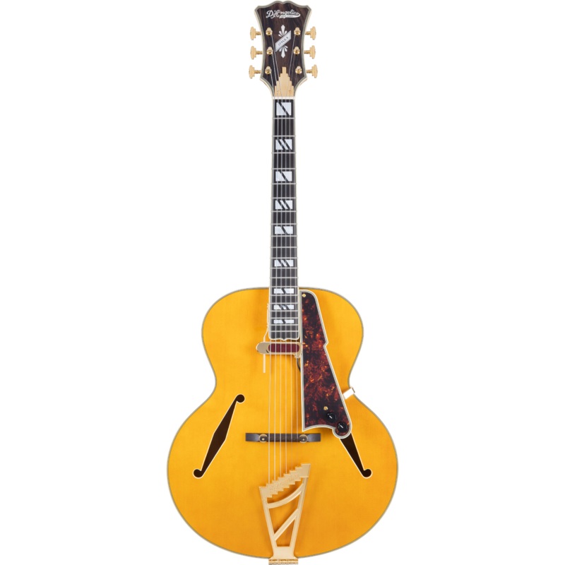D’Angelico EXCEL STYLE B Hollow Body Electric Guitar (Amber)