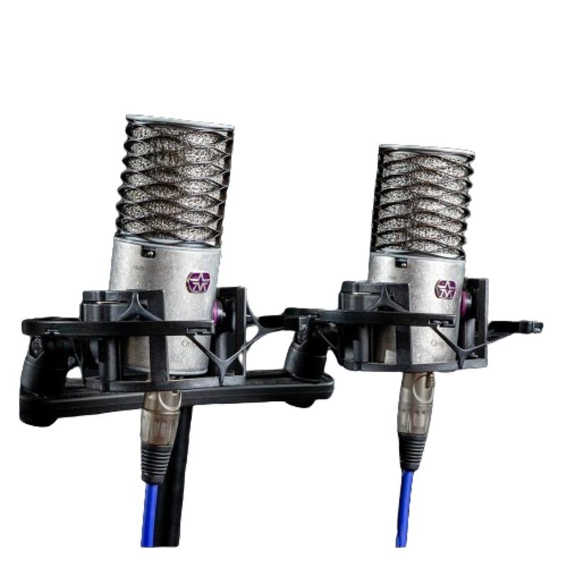 Aston Microphones ORIGIN STEREO PAIR Large Diaphragm Condenser Mics