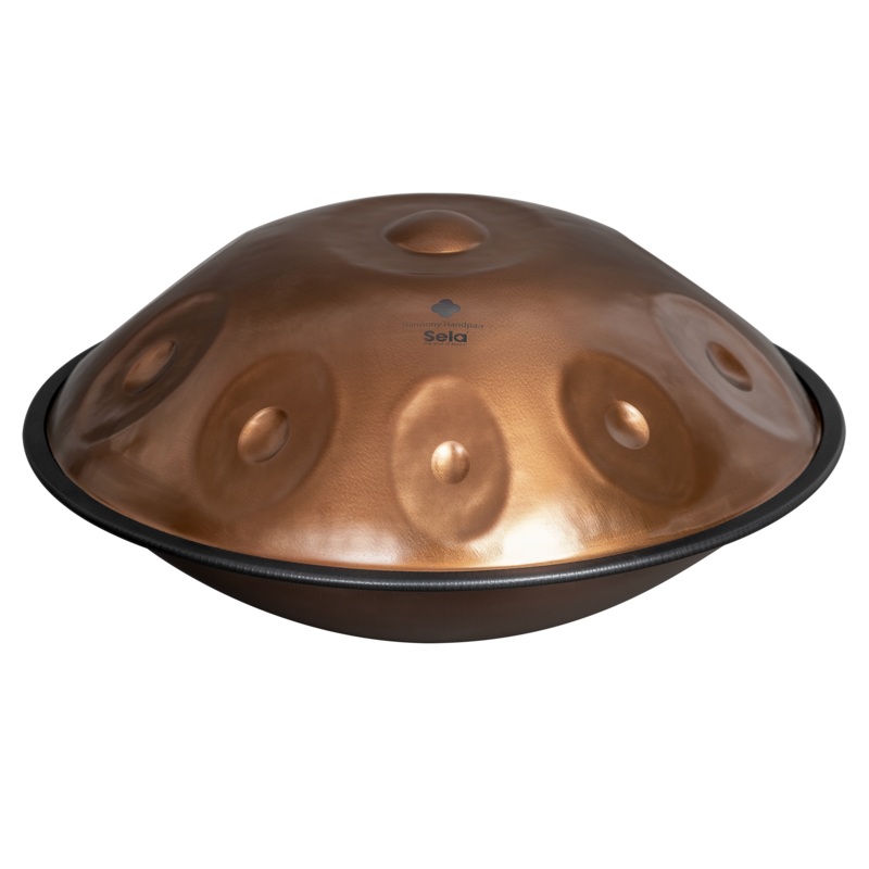 Sela HARMONY Handpan Phoenix Steel D Kurd 10
