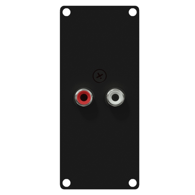 Caymon CASY132/B 2 RCA to 2 Pin Terminal Input Plate