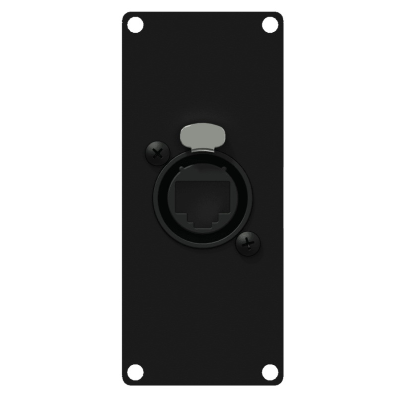 Caymon CASY167/B EtherCON to RJ-45 Wall Plate