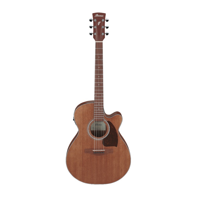 Ibanez PC54CE Acoustic Guitar (Open Pore Natural)