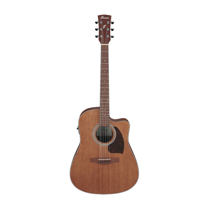 Ibanez PF54CE Acoustic Guitar (Open Pore Natural)