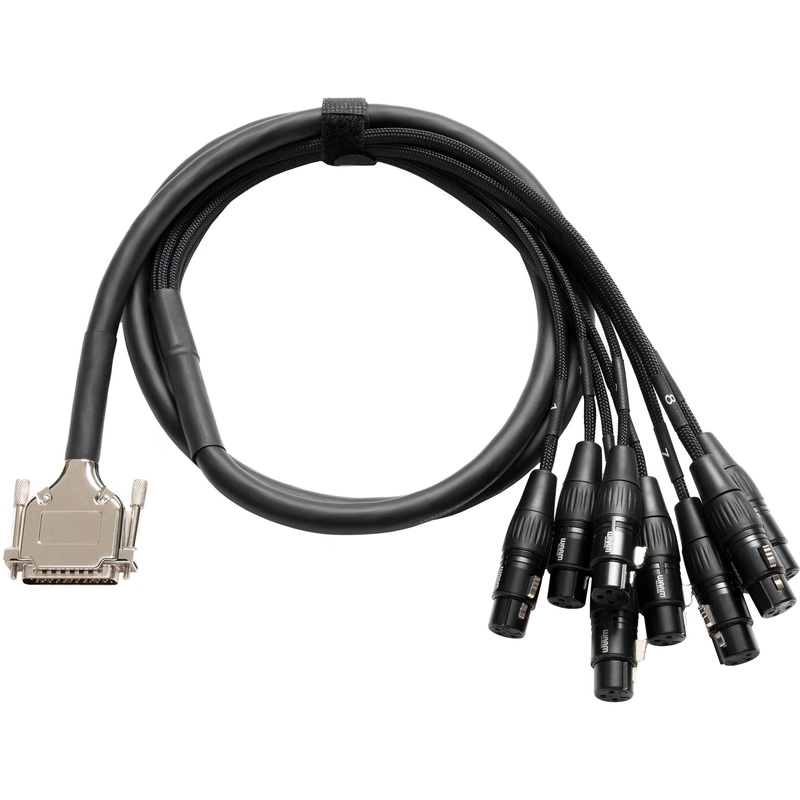 Warm Audio PREMIER DB25 to XLR 3-Pin Female 8-Channel Analog Breakout Cable – 6′