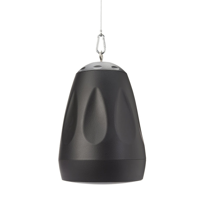 Cloud Electronics CVS-P62TB Pendant Speaker (Black) – 6.5″