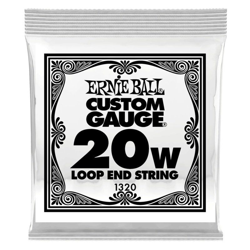 Ernie Ball 1320EB 6-Pack Loop End Stainless Steel Plain Banjo or Mandolin Guitar Strings – 0.020