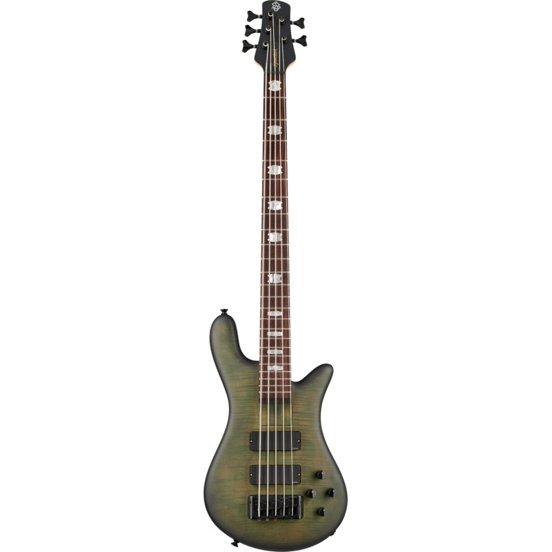 Spector EURO 5 LX Bolt-On 5 Strings Electric Bass Guitar (Haunted Moss)