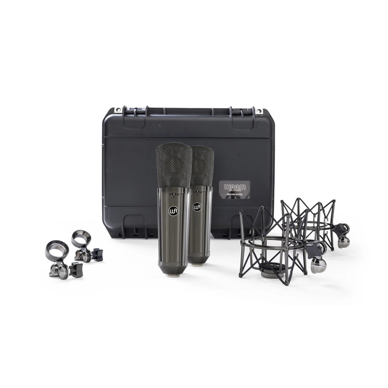 Warm Audio WA87-R2-TS Stereo Pair Large Diaphragm Condenser Microphones (Titanium)