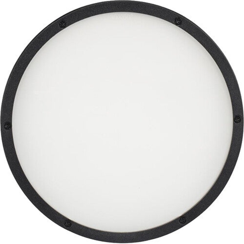 American DJ ELP18L30X60 Frost Filter Accessory Replacement Lens for the ADJ Encore LP18I
