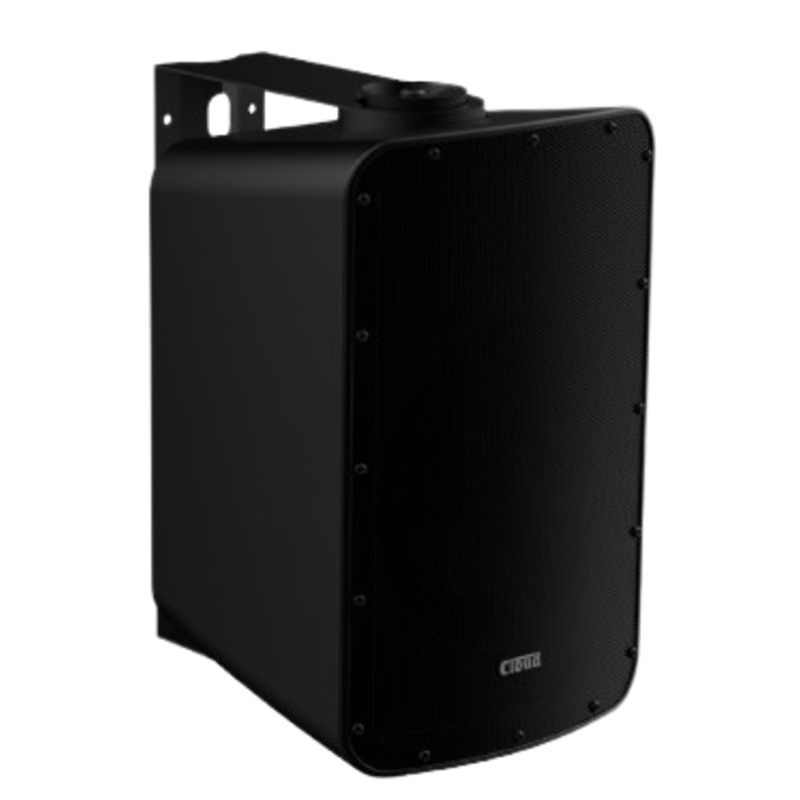 Cloud Electronics CS-S12DB 2 Way Active Dante Surface Mount Speaker (Black) – 12″