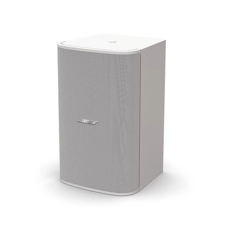 Bose DM10S-SUB Passive Subwoofer (White) – 10″