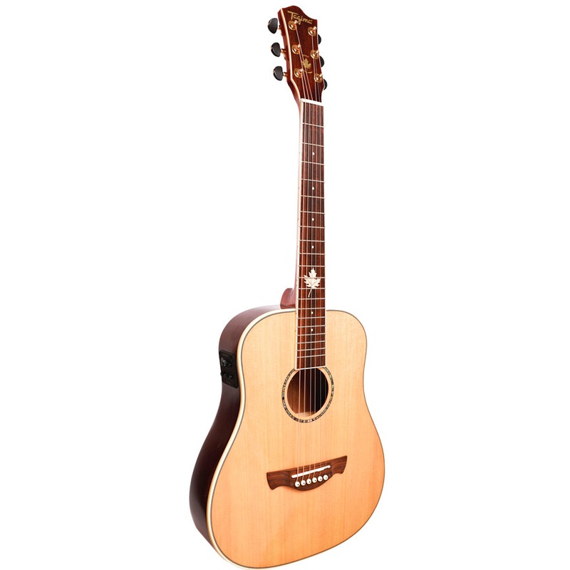 Tagima FERNIE EQ Steel Baby Non-Cutaway Acoustic Guitar (Gloss Natural)