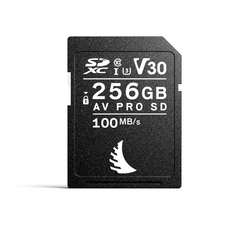 Angelbird AV PRO SD V30 Durable SD Performance – 256 GB